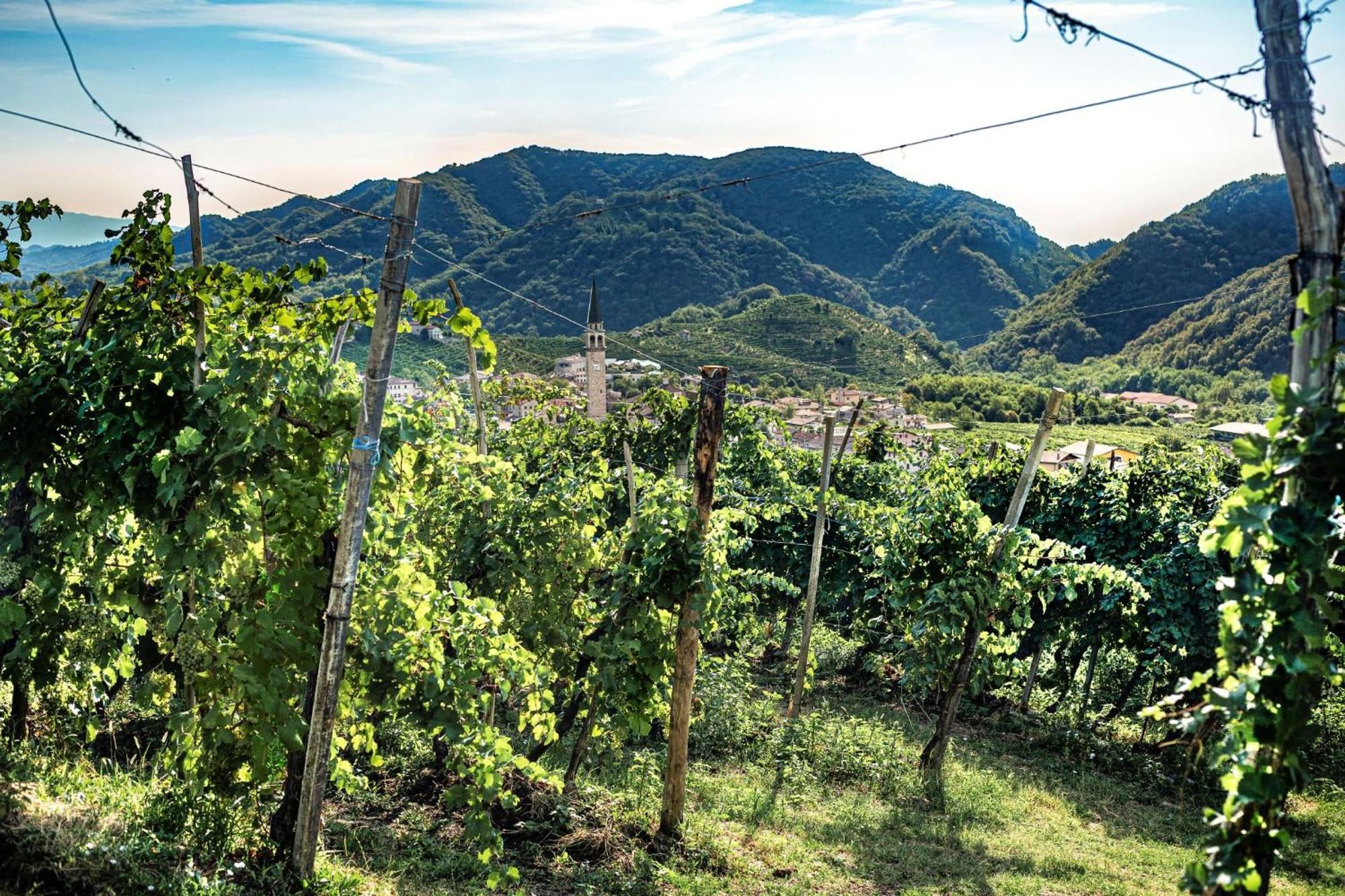 Ca'Lisel Villa Valdobbiadene Kültér fotó